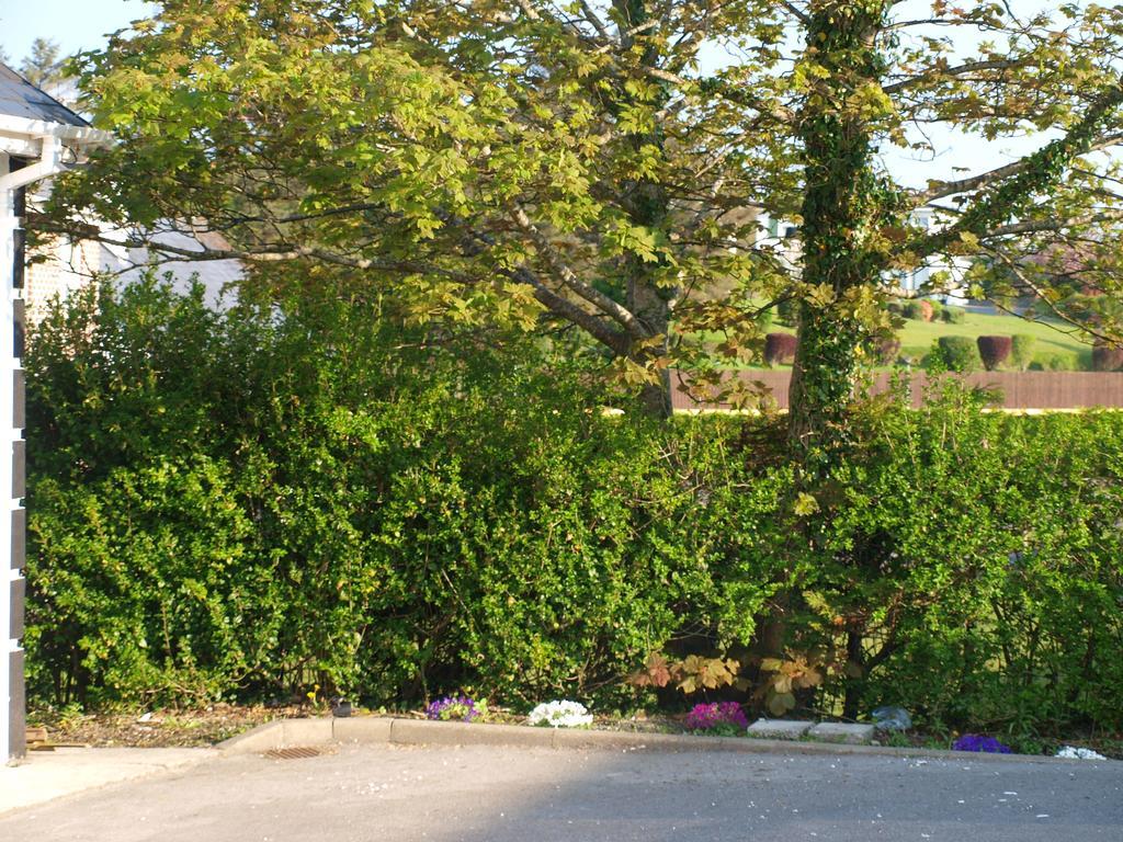 The River House Dungloe Εξωτερικό φωτογραφία