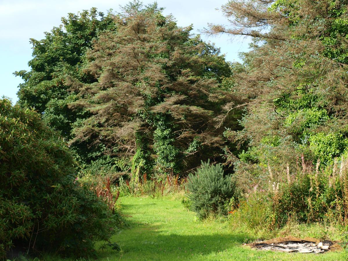 The River House Dungloe Εξωτερικό φωτογραφία